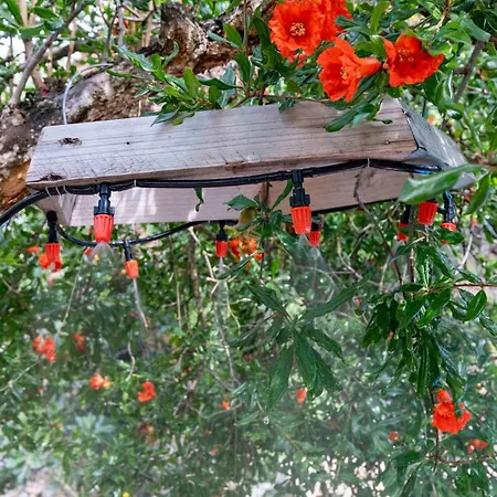 Casa Acollidora I Familiar Amb Jardi I Barbacoa Ager